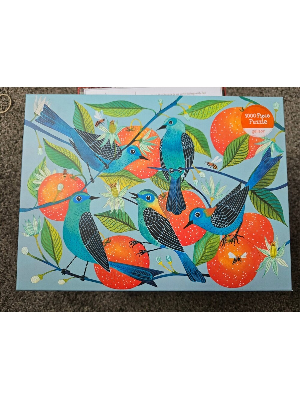 Galison Naranjas 1000 Piece Jigsaw Puzzle by Geninne D Zlatkis